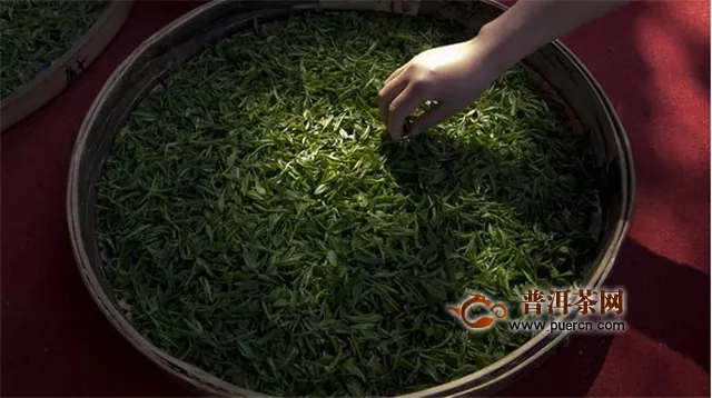 恩施硒茶是绿茶吗