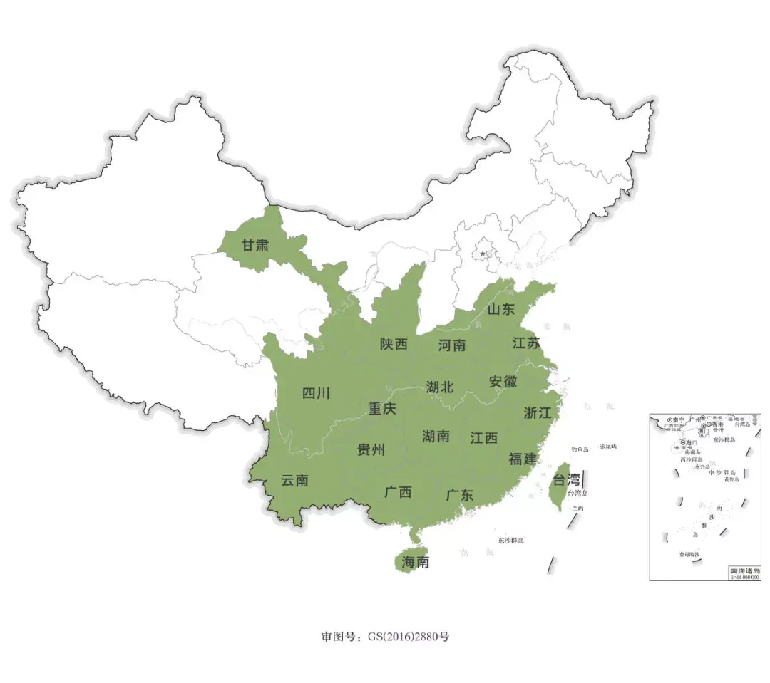 紫阳富硒茶与铁观音