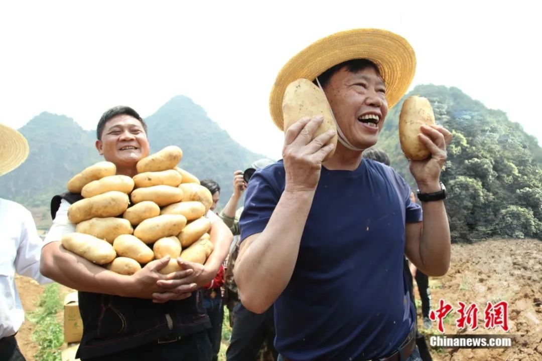 恩施州富硒茶的销路