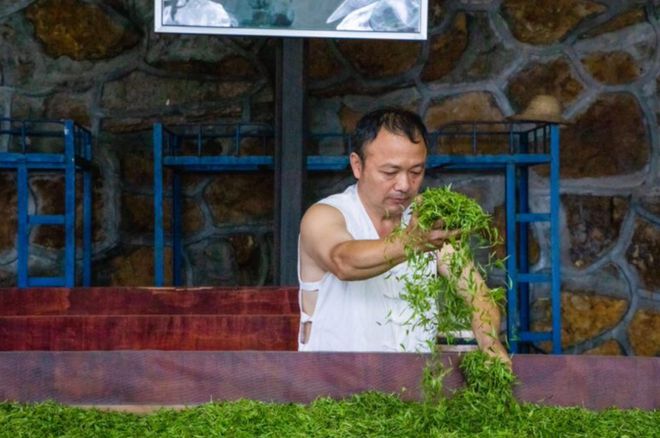 富硒茶多少度水冲泡