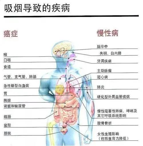 癌症人能喝富硒茶吗