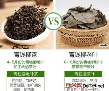 全面解析富硒青钱柳茶：功效、作用及禁忌