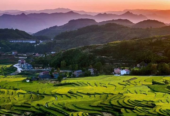 在水一方西安富硒茶