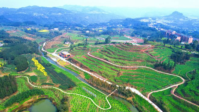 沐川高笋乡富硒茶果