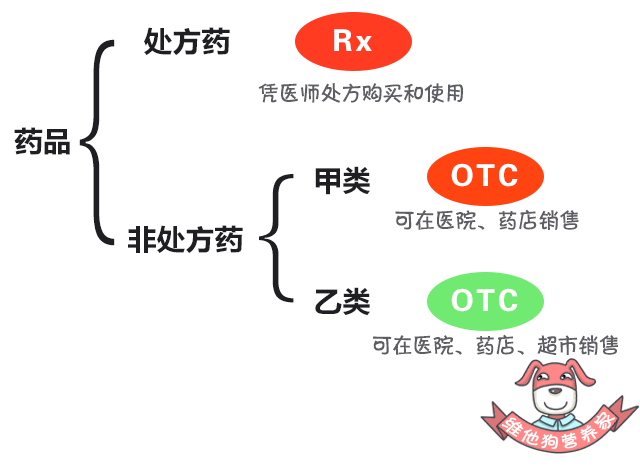 补钙的东西