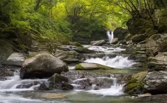 南宫山富硒茶怎么样