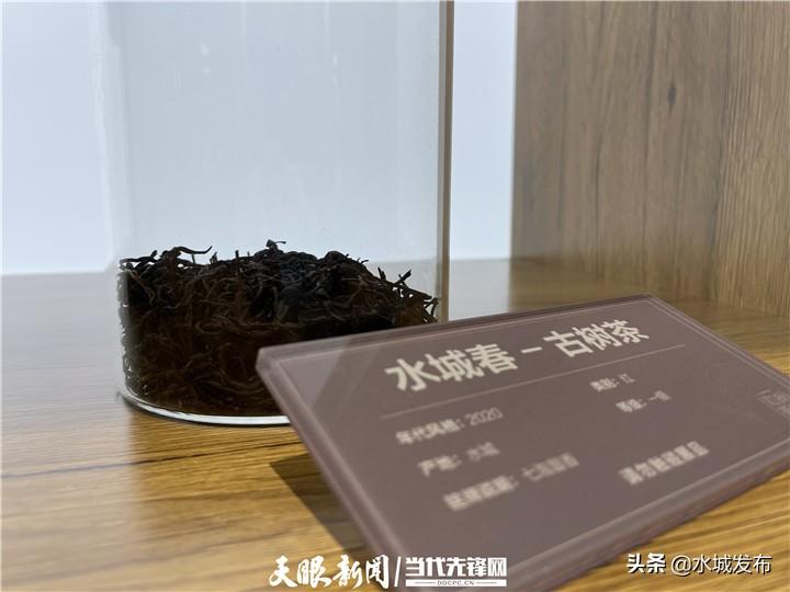 水城富硒茶妙笔生花