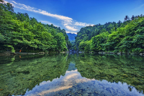 石台县仙寓山富硒茶