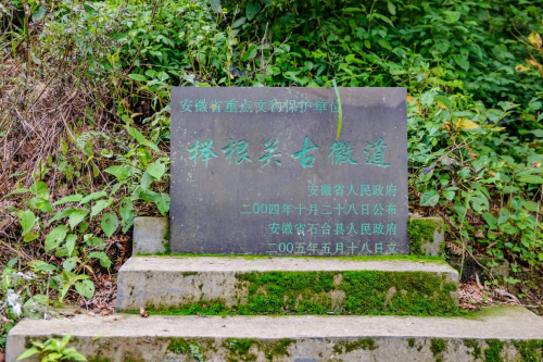 石台县仙寓山富硒茶