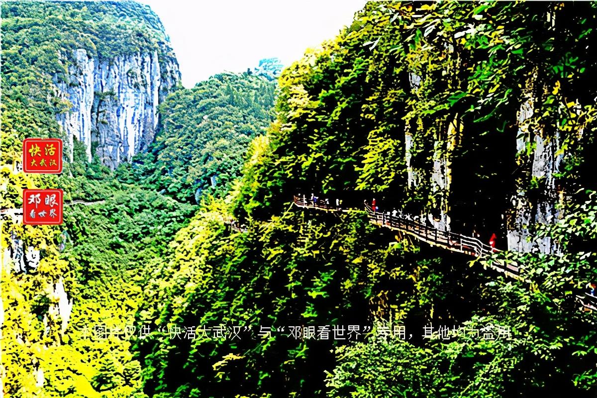 大峡谷富硒茶怎么样