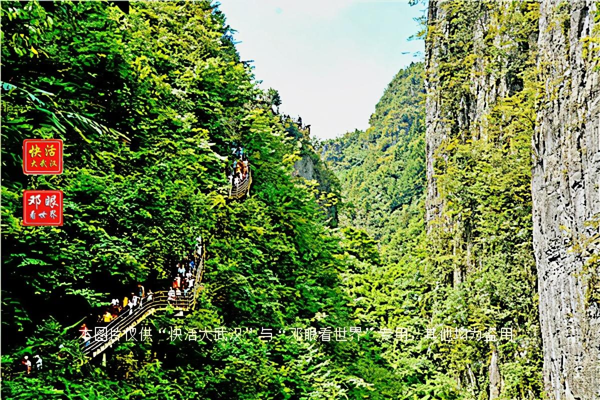 大峡谷富硒茶怎么样