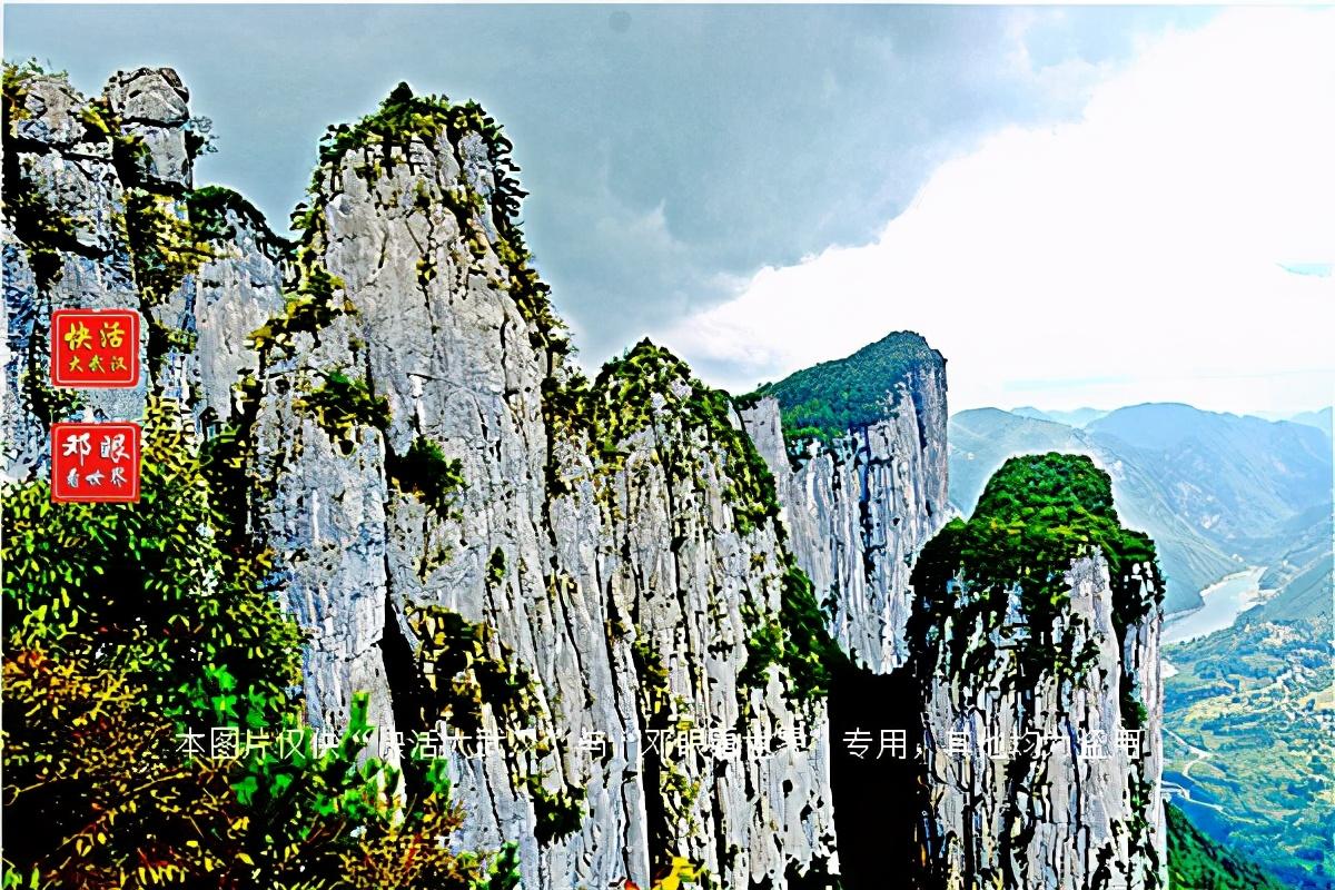 大峡谷富硒茶怎么样