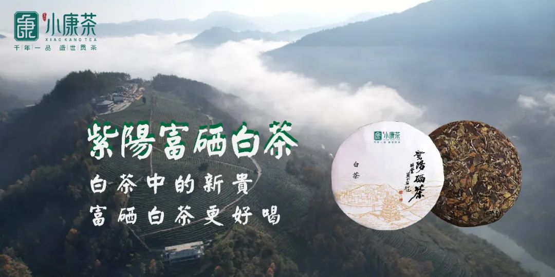 富硒茶能喝大枣一起