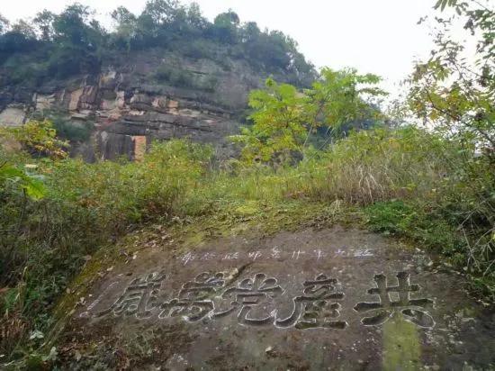 四川万源  富硒茶