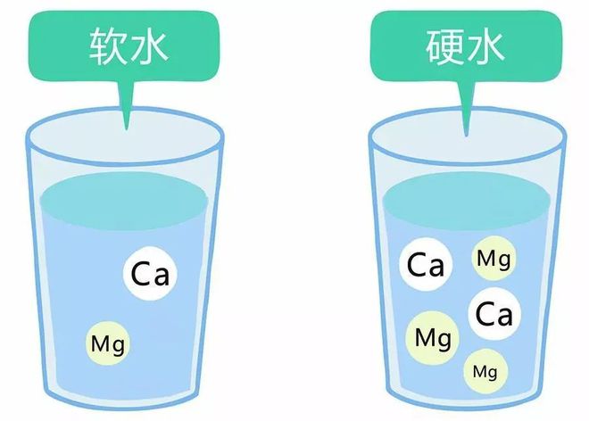 什么蔬菜水果补钙