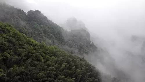 大山第一村富硒大米