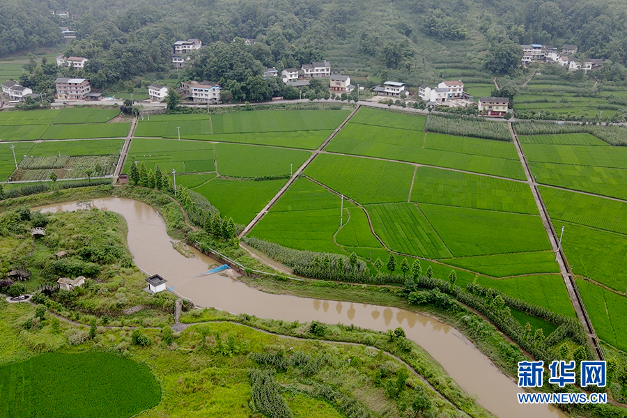 大山第一村富硒大米