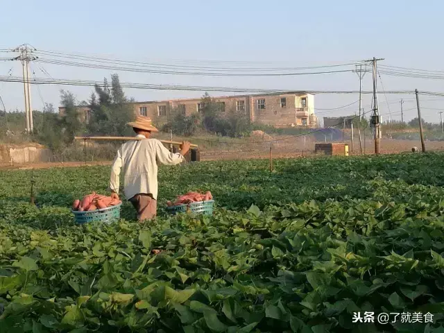 富硒地瓜生吃好吃吗