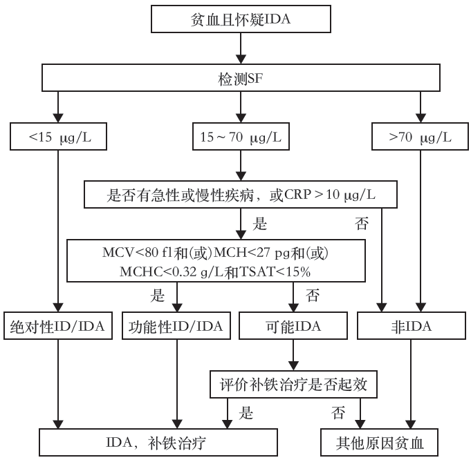 成人补铁