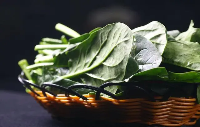 富硒面粉能包饺子吗