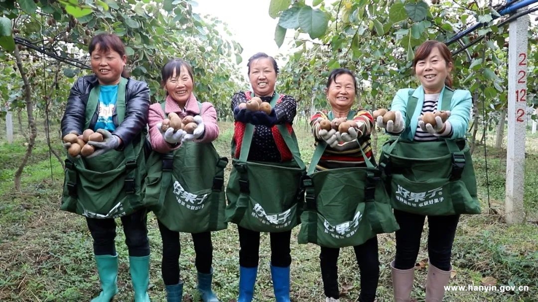 农村种植高富硒蔬菜