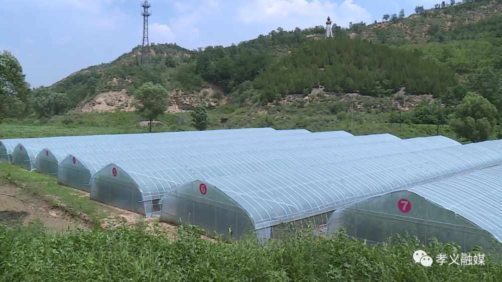 农村种植高富硒蔬菜