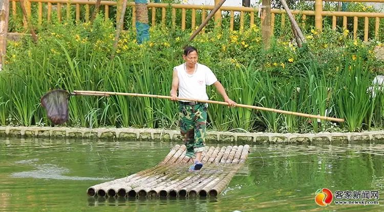 富硒蔬菜种植加什么