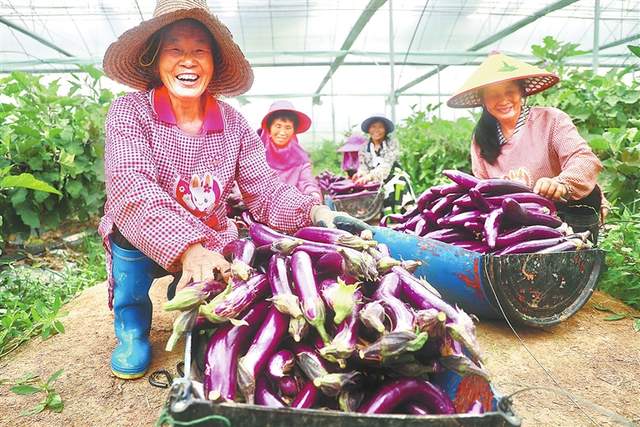 富硒蔬菜基地出租吗