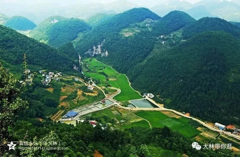 野三关高山富硒蔬菜