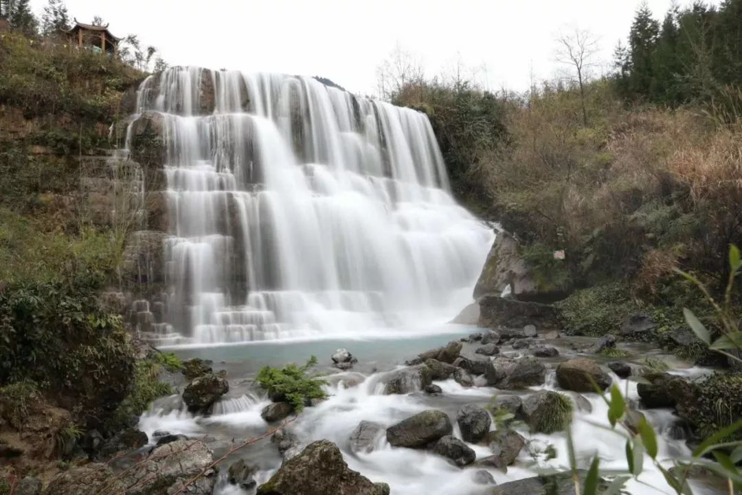 野三关高山富硒蔬菜