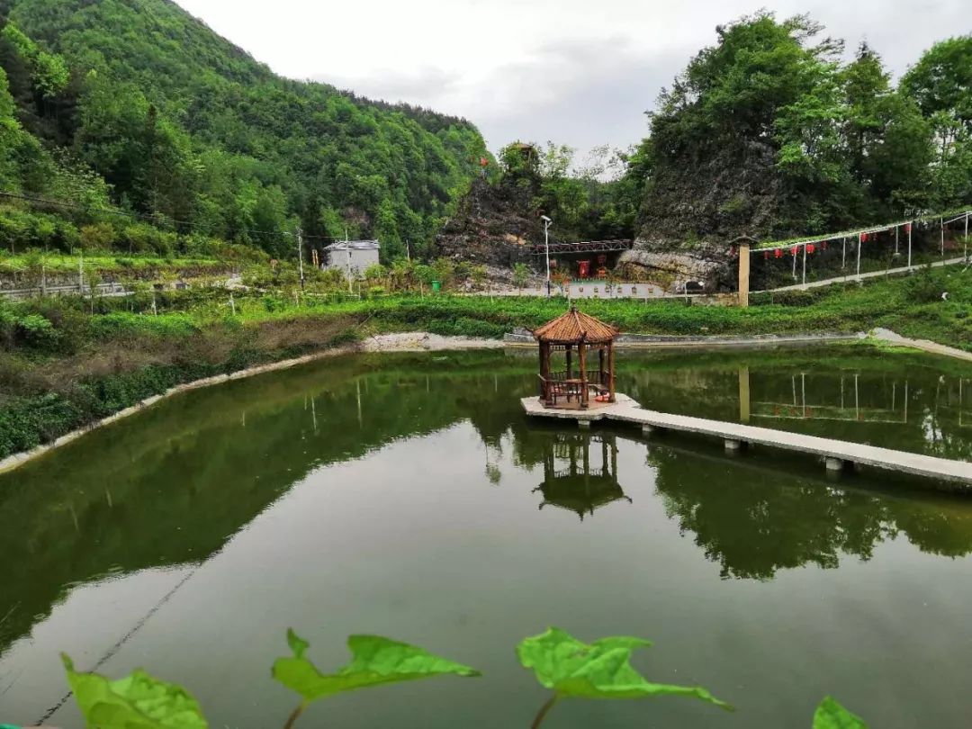 野三关高山富硒蔬菜