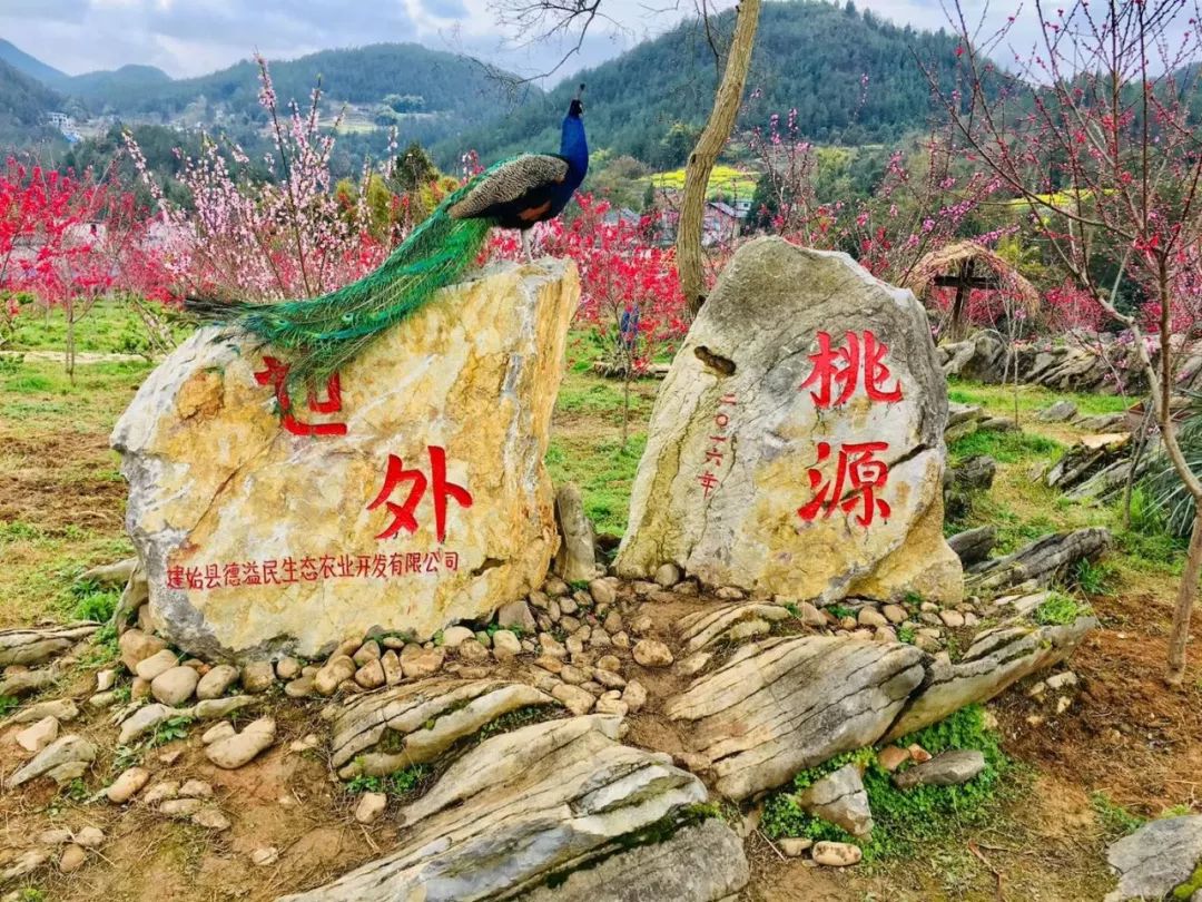 野三关高山富硒蔬菜