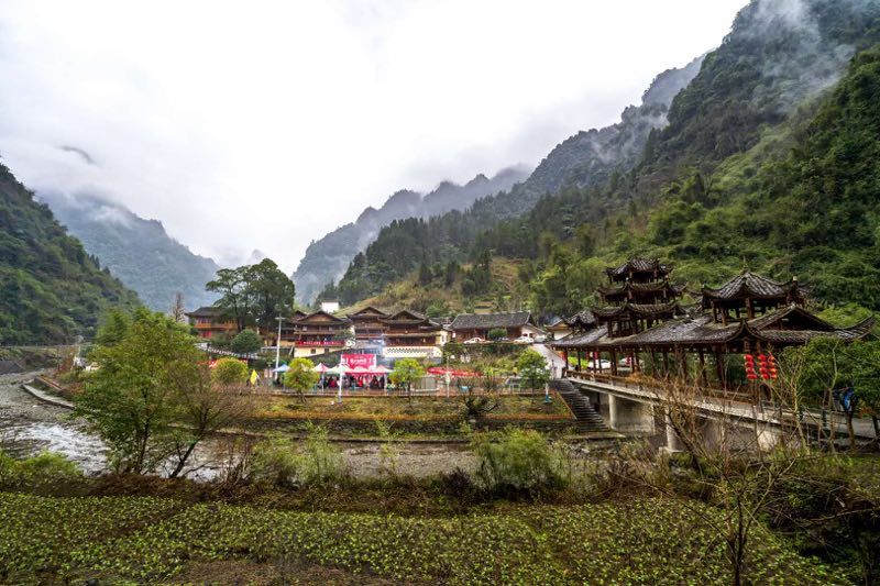 野三关高山富硒蔬菜