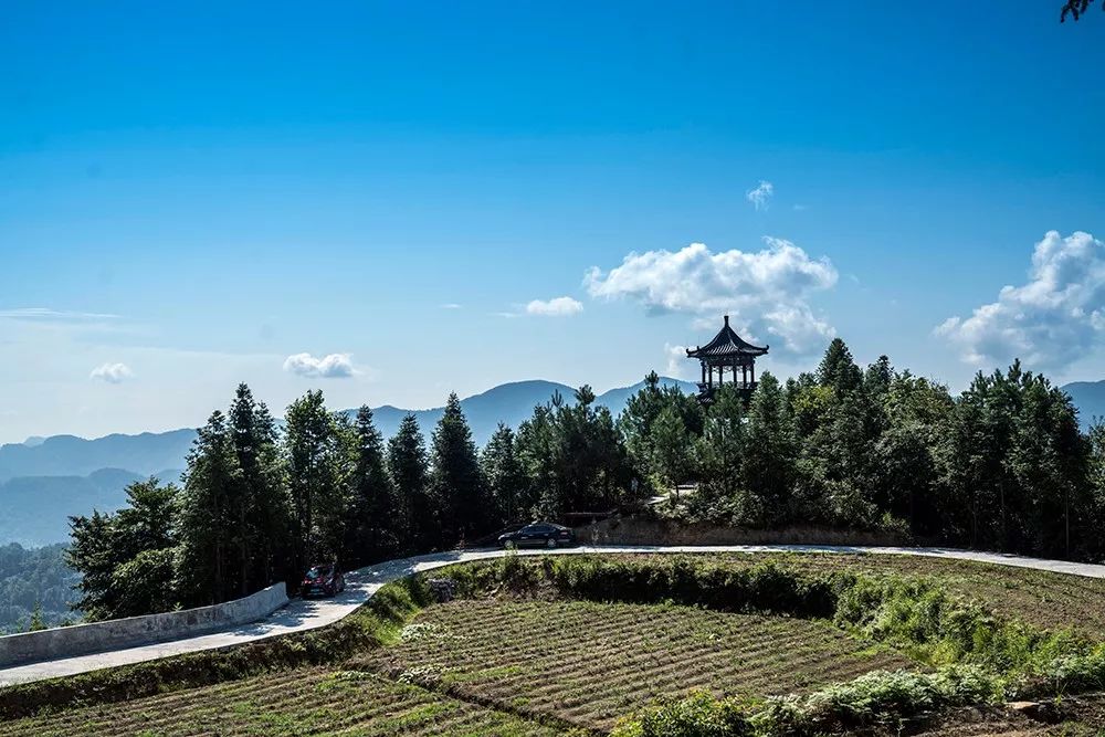 野三关高山富硒蔬菜