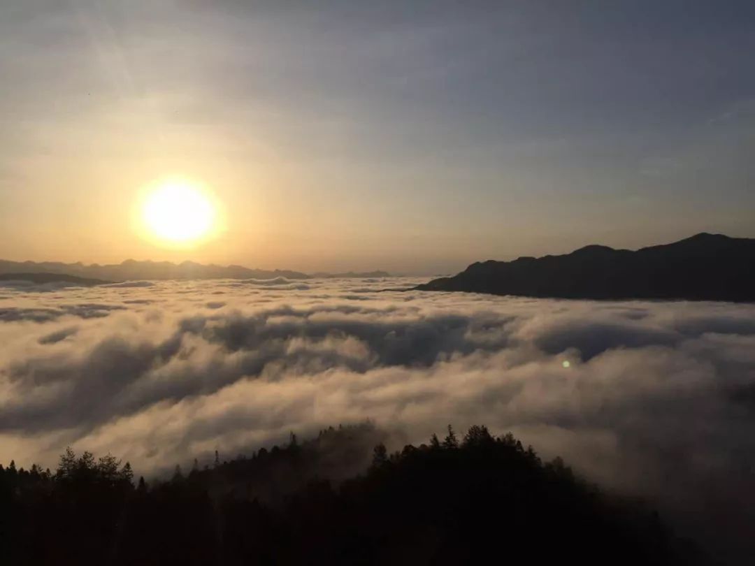 野三关高山富硒蔬菜