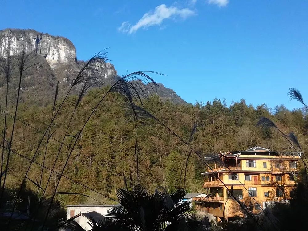 野三关高山富硒蔬菜