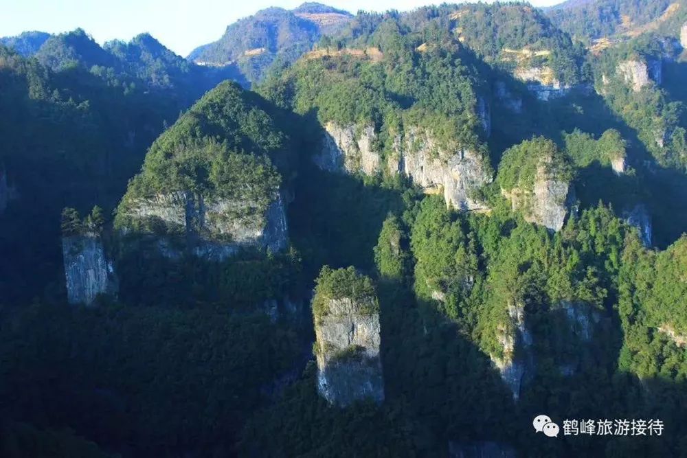 野三关高山富硒蔬菜