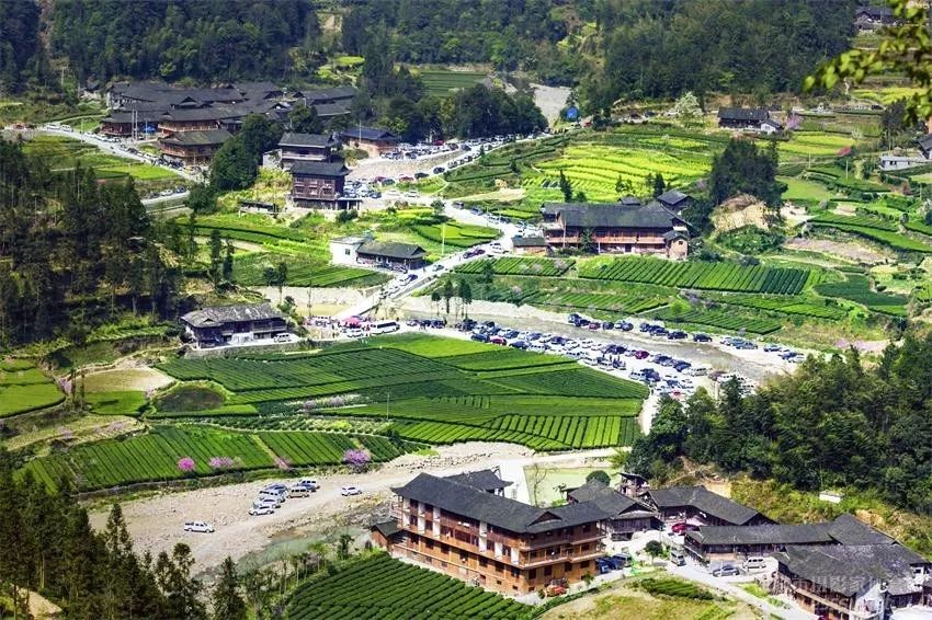 野三关高山富硒蔬菜