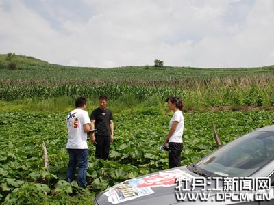 黑龙江富硒蔬菜种植