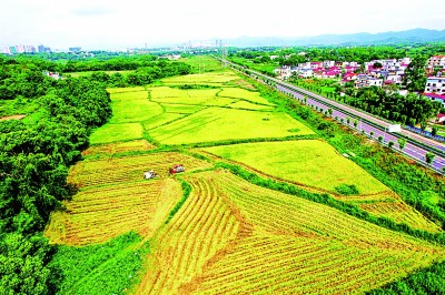 梓山富硒蔬菜产业园