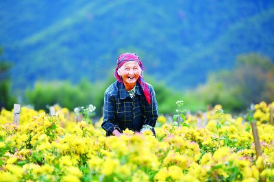 梓山富硒蔬菜产业园