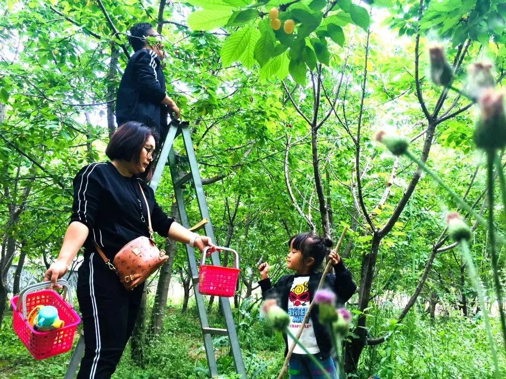 富硒水果孕妇能吃吗