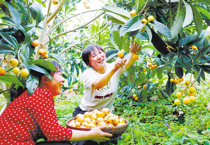 水果店富硒葡萄打包