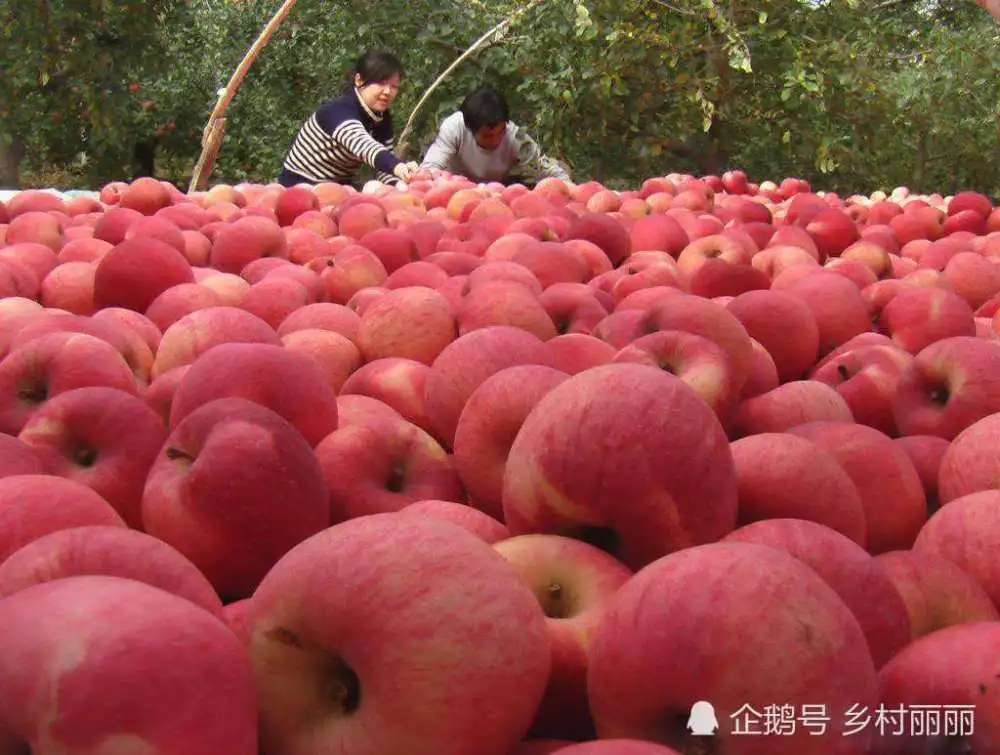 富硒水果类国家标准