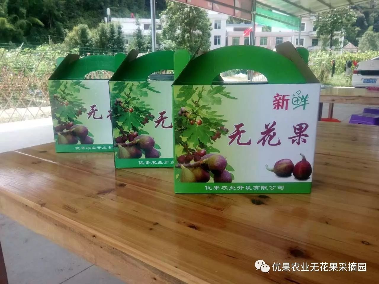 无花果是富硒水果吗