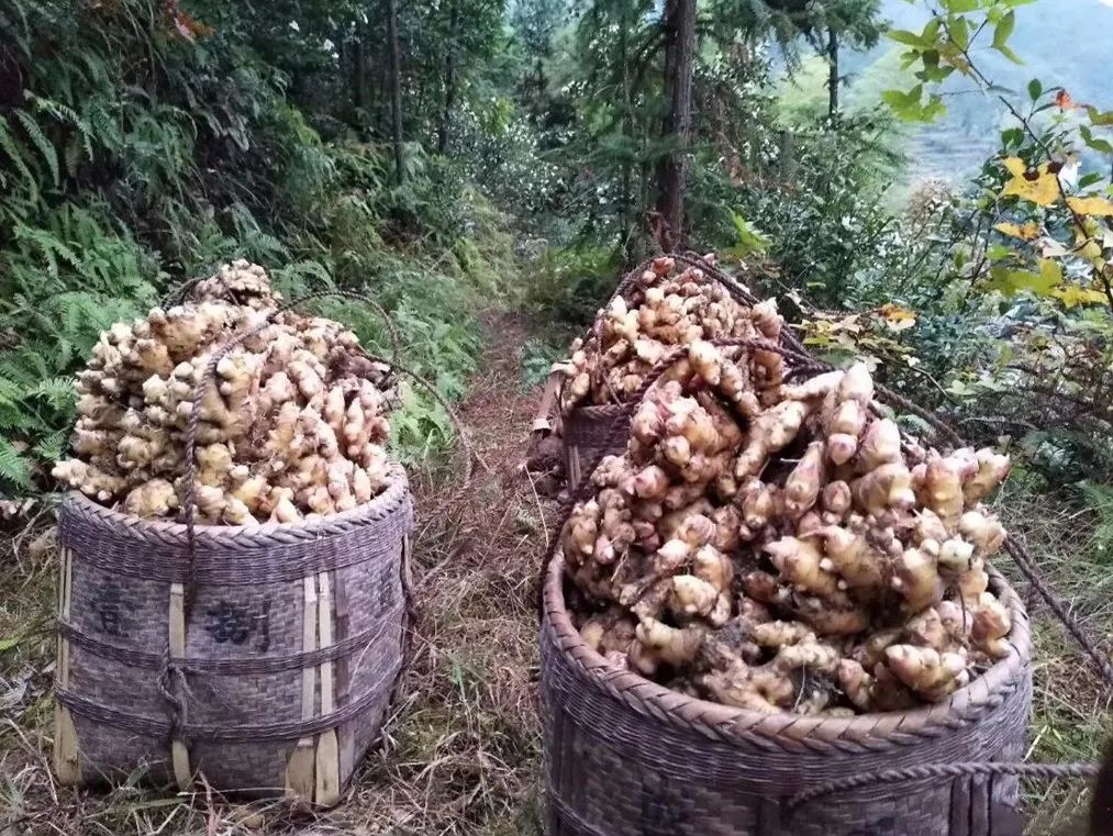 富硒水果罐头的做法