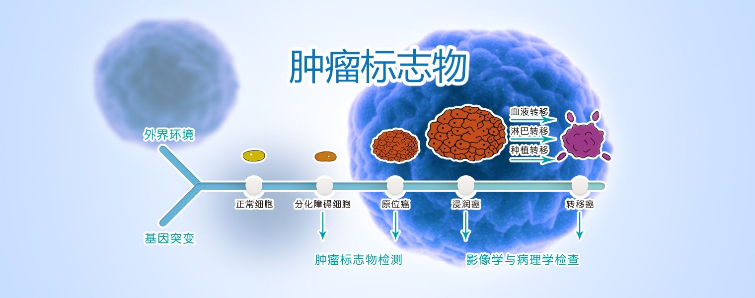 成人需要补锌吗