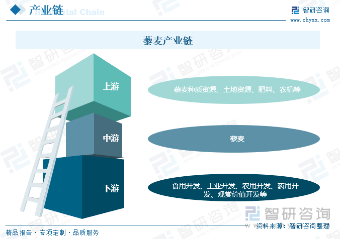 那家生产藜麦硒产品