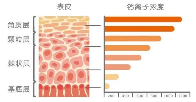 不缺锌可以补锌吗