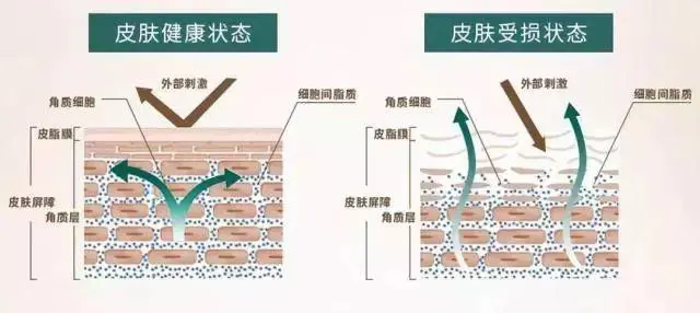 不缺锌可以补锌吗